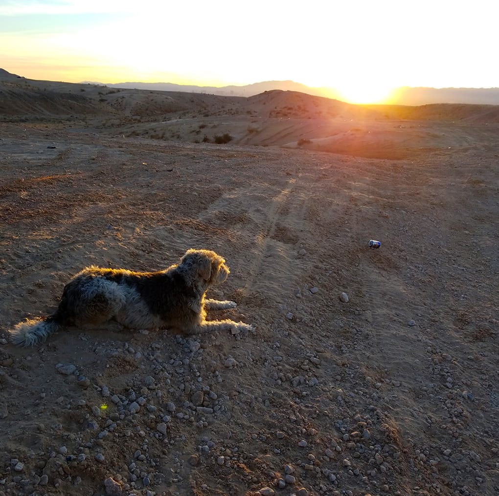 Ramsey watching sunset